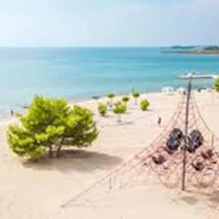 Mare * זאדאר