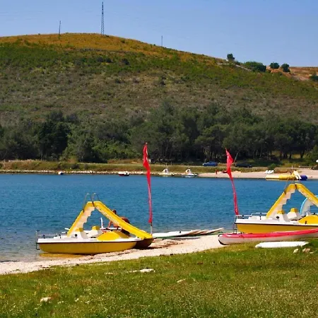 Mare